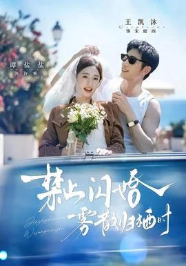 禁止闪婚，雾散归栖时