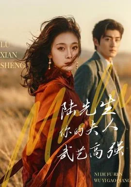 陆先生，你的夫人武艺高强