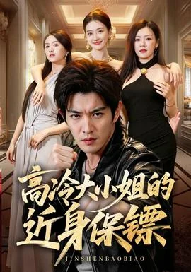 高冷大小姐的近身保镖