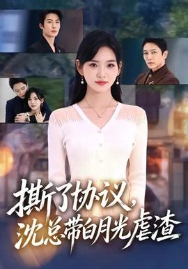 撕了协议，沈总带白月光虐渣
