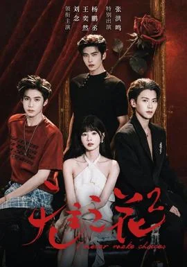 无主之花2